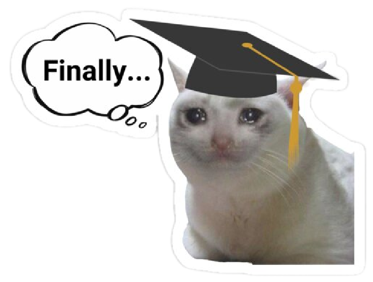 Graduation cat wearing a cap with the word Finally