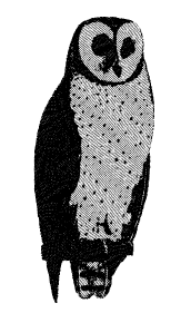 Illustration of La Lechuza